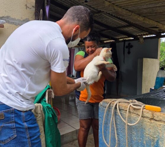 Leia mais sobre o artigo Mais de 1 mil animais vacinados na primeira etapa da campanha contra a raiva em Anchieta