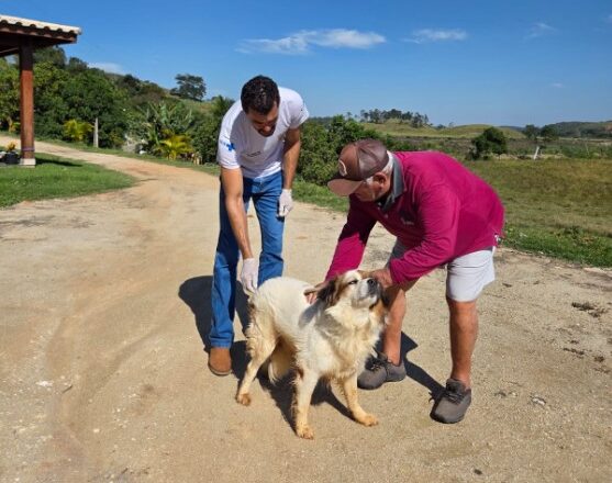 Leia mais sobre o artigo Anchieta divulga cronograma de vacinação antirrábica para cães e gatos no mês de julho