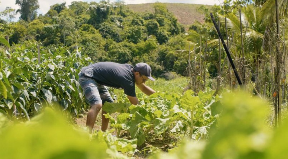 Leia mais sobre o artigo Prefeitura publica Edital de Chamamento Público para compra de alimentos da agricultura familiar